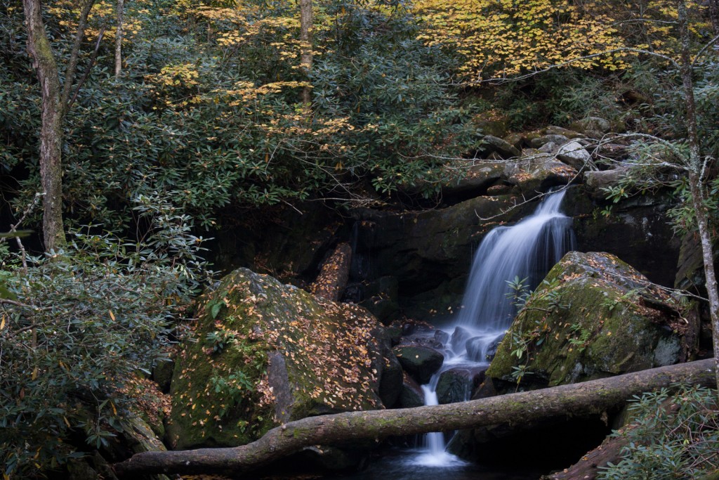 Smoky Mountains National Park_MatthewPaulson