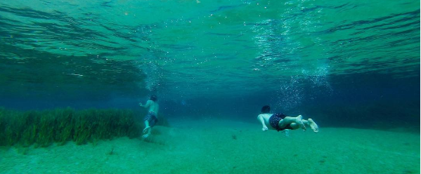 florida fresh water springs