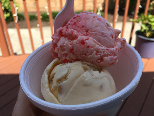 Local ice cream from Scoops