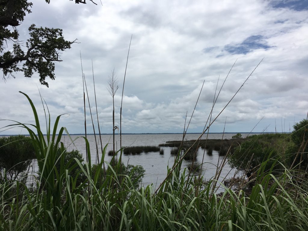 A view of the sound in Duck, Outer Banks, NC | Outdoorsy”)