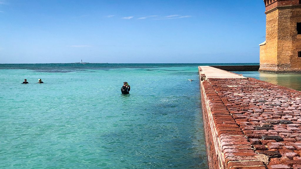 Snorkeling Activities at Dry Tortugas | Outdoorsy