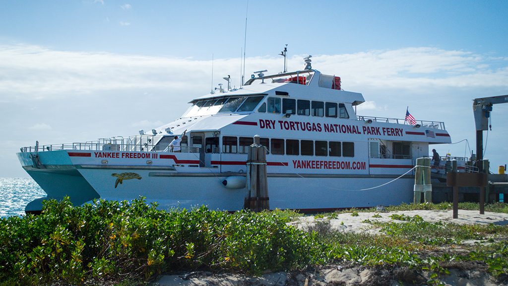 How to get there Activities at Dry Tortugas | Outdoorsy