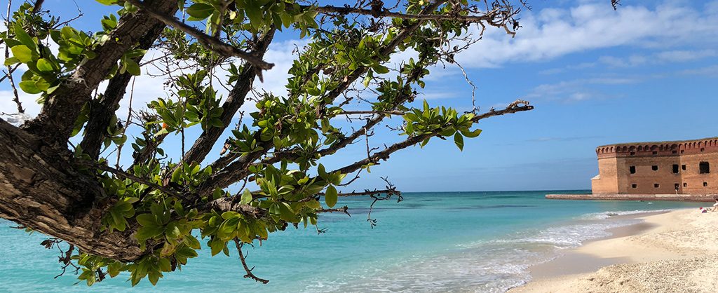 activities dry tortugas | Outdoorsy RV Rental Marketplace
