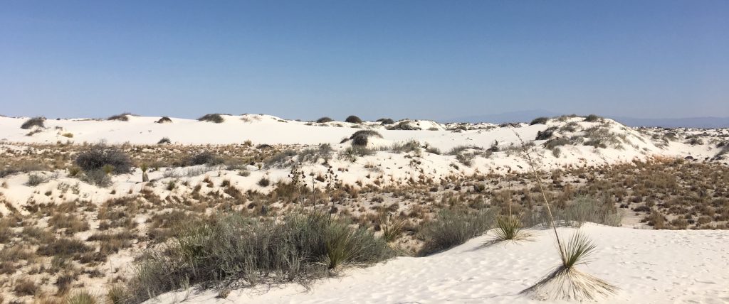 White Sands National Monument, Alamogordo, New Mexico | Outdoorsy RV Rental Marketplace
