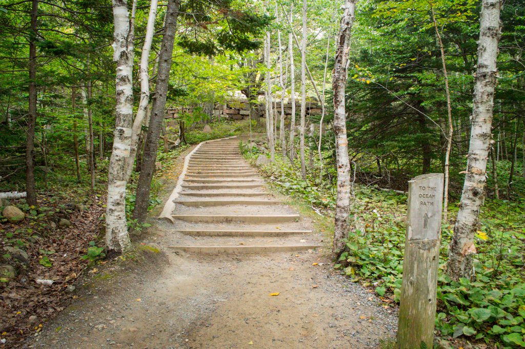 5 Fun Things To Do At Acadia National Park