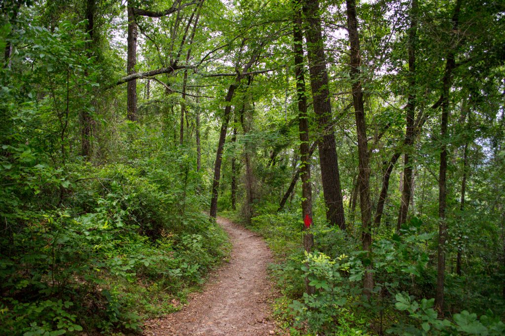 Guide to Visiting Hot Springs, AR | Outdoorsy Guide to Visiting Hot Springs, AR | Outdoorsy
