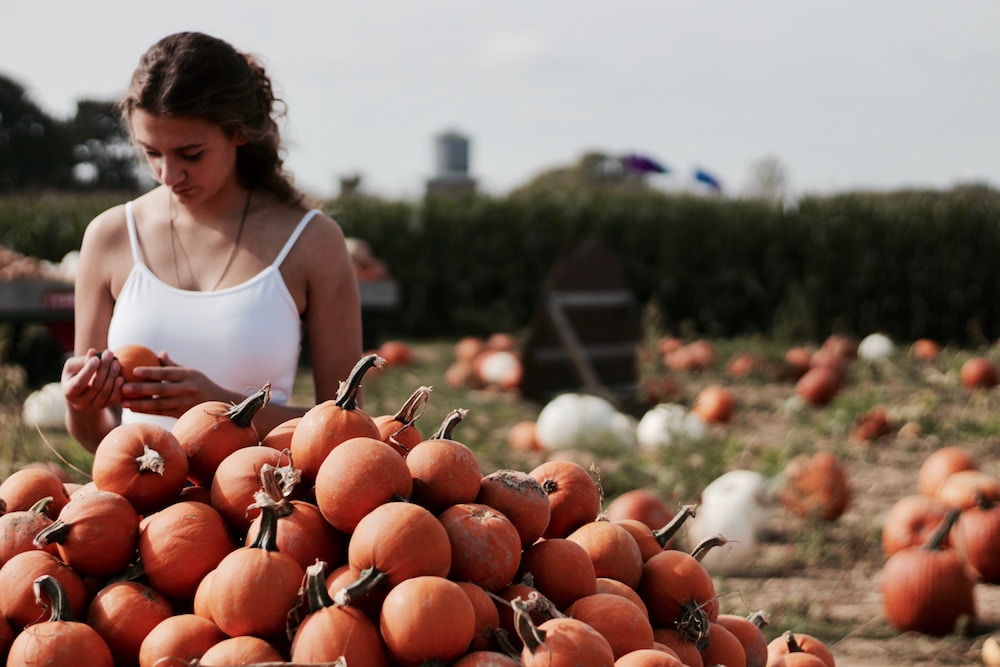 pumpkin patch jacket