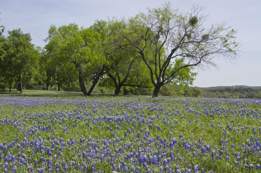 Photo Tripping America - State Park Passes - Outdoorsy