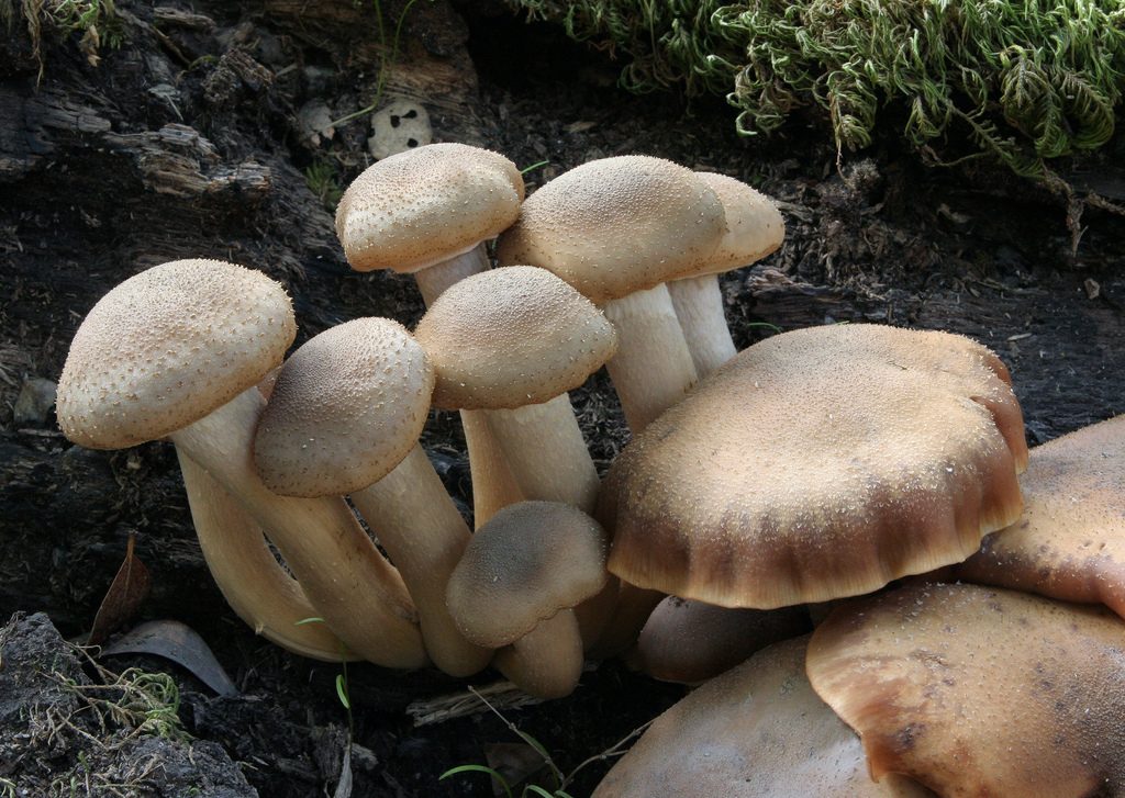 22 Unheard Of Festivals in the U.S.