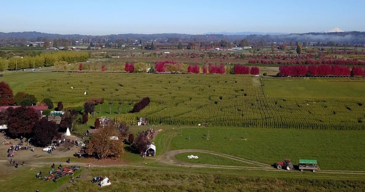 Top 8 pumpkin patches and Halloween fests for RVers