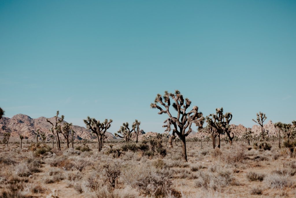 Desert RV Boondocking