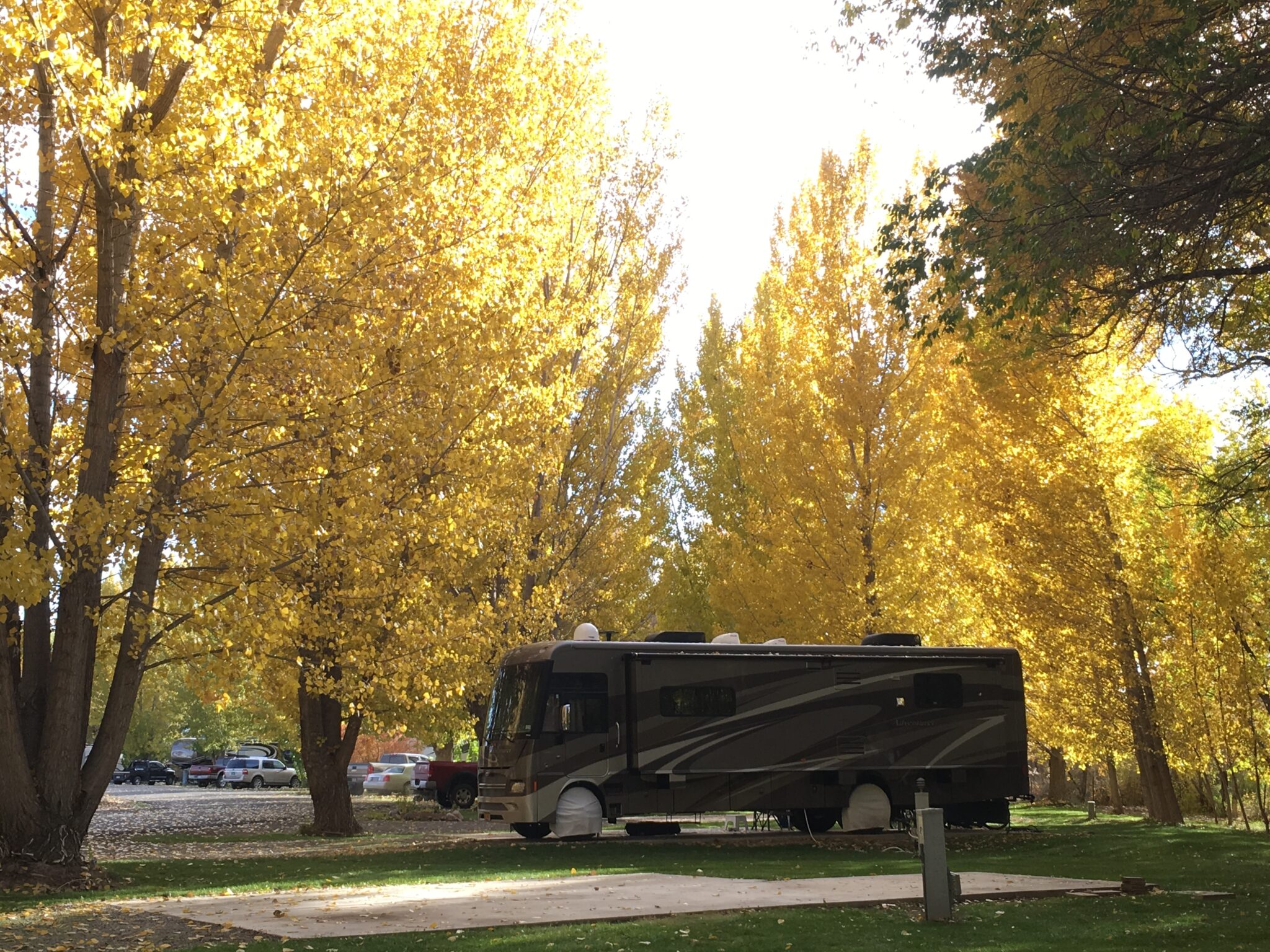 8 Luxury RV Resorts for the 55 and Older Crowd | Outdoorsy.com