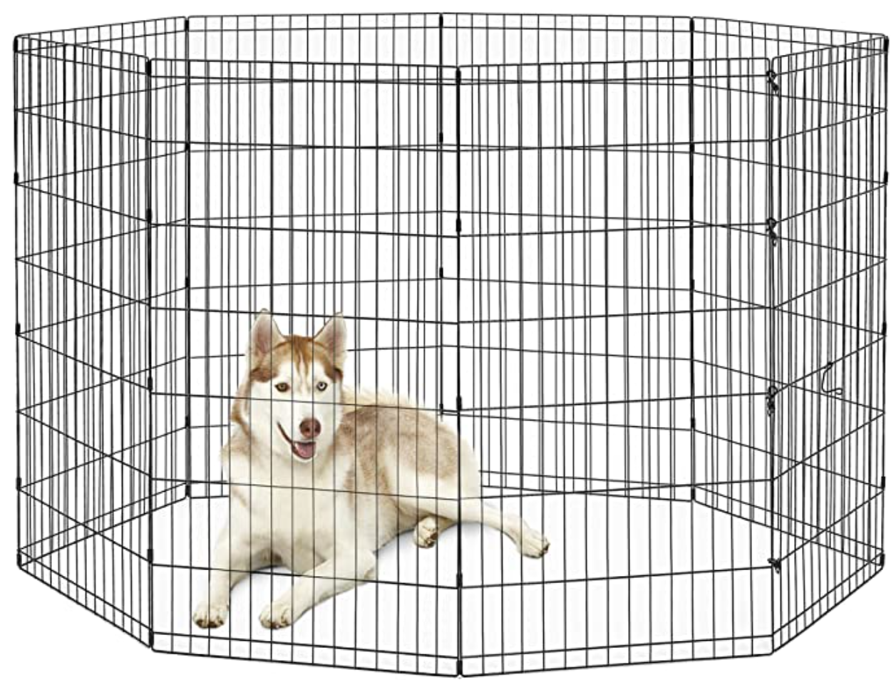 Camping with dogs Best portable dog fence