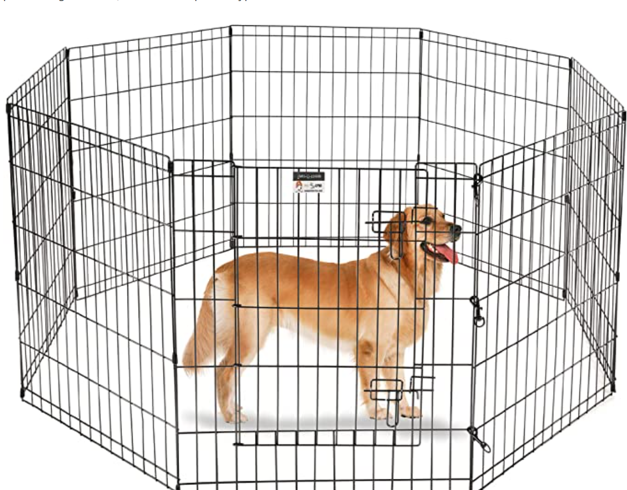 Camping with dogs Best portable dog fence