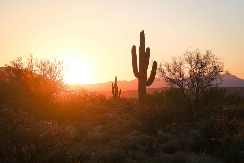 Phoenix, Arizona