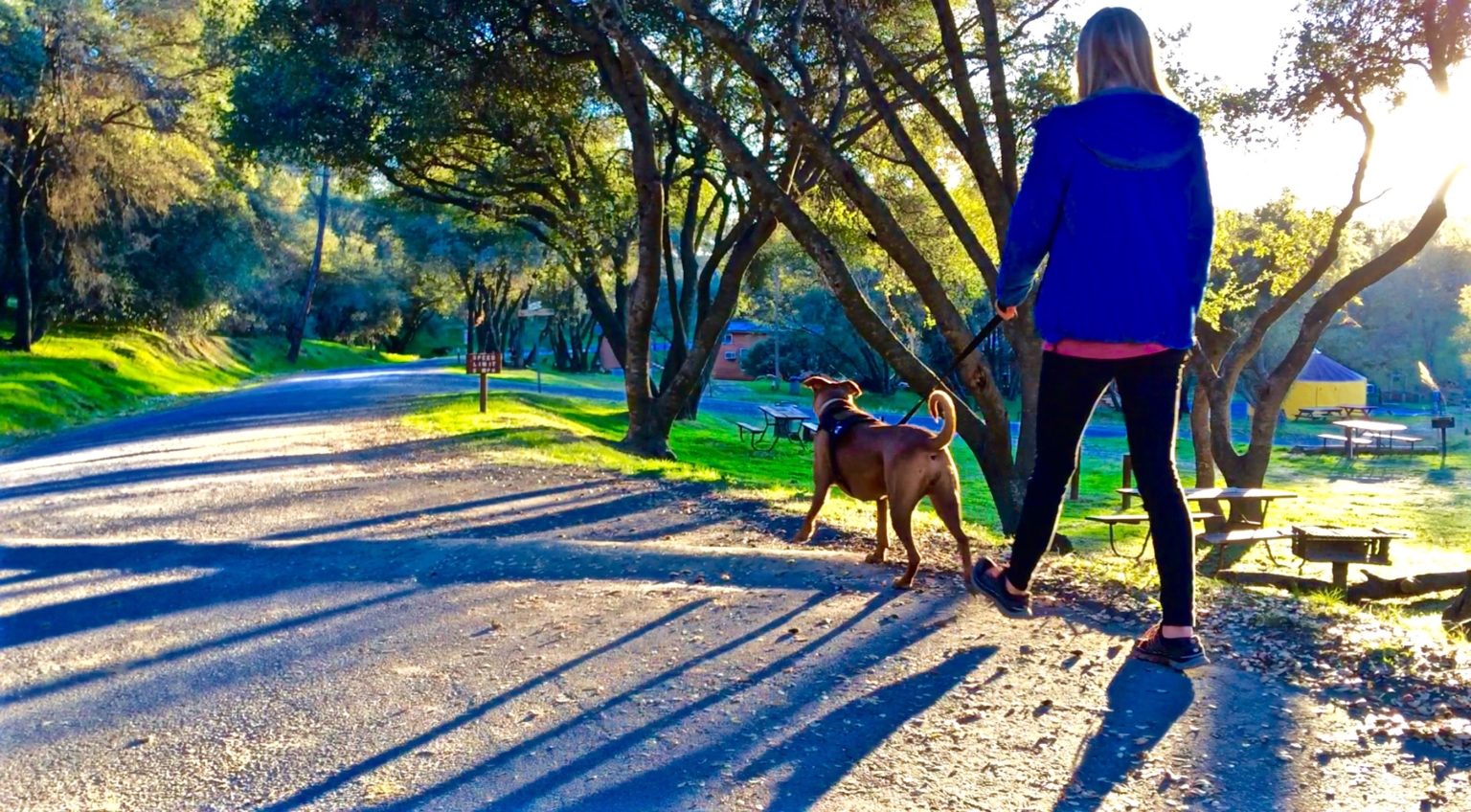 Finding petfriendly campgrounds