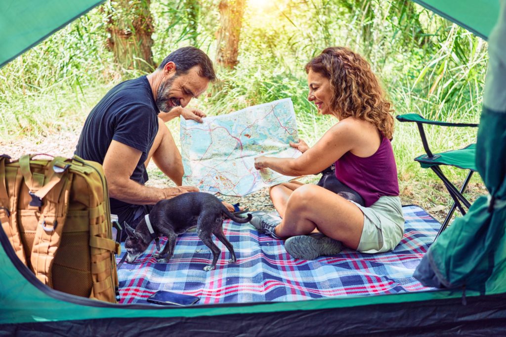 pet camping checklist