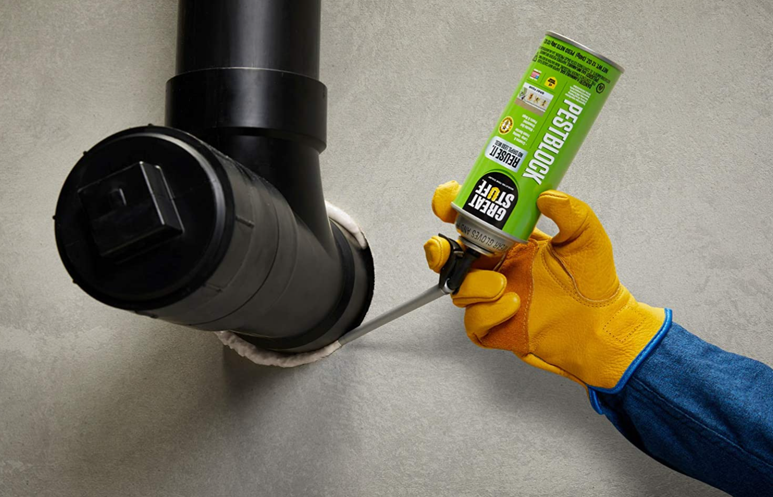 PestFree RVing How to Keep Mice Out of a Camper