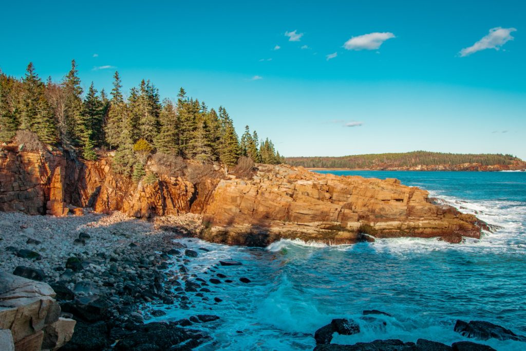 most dog friendly national parks