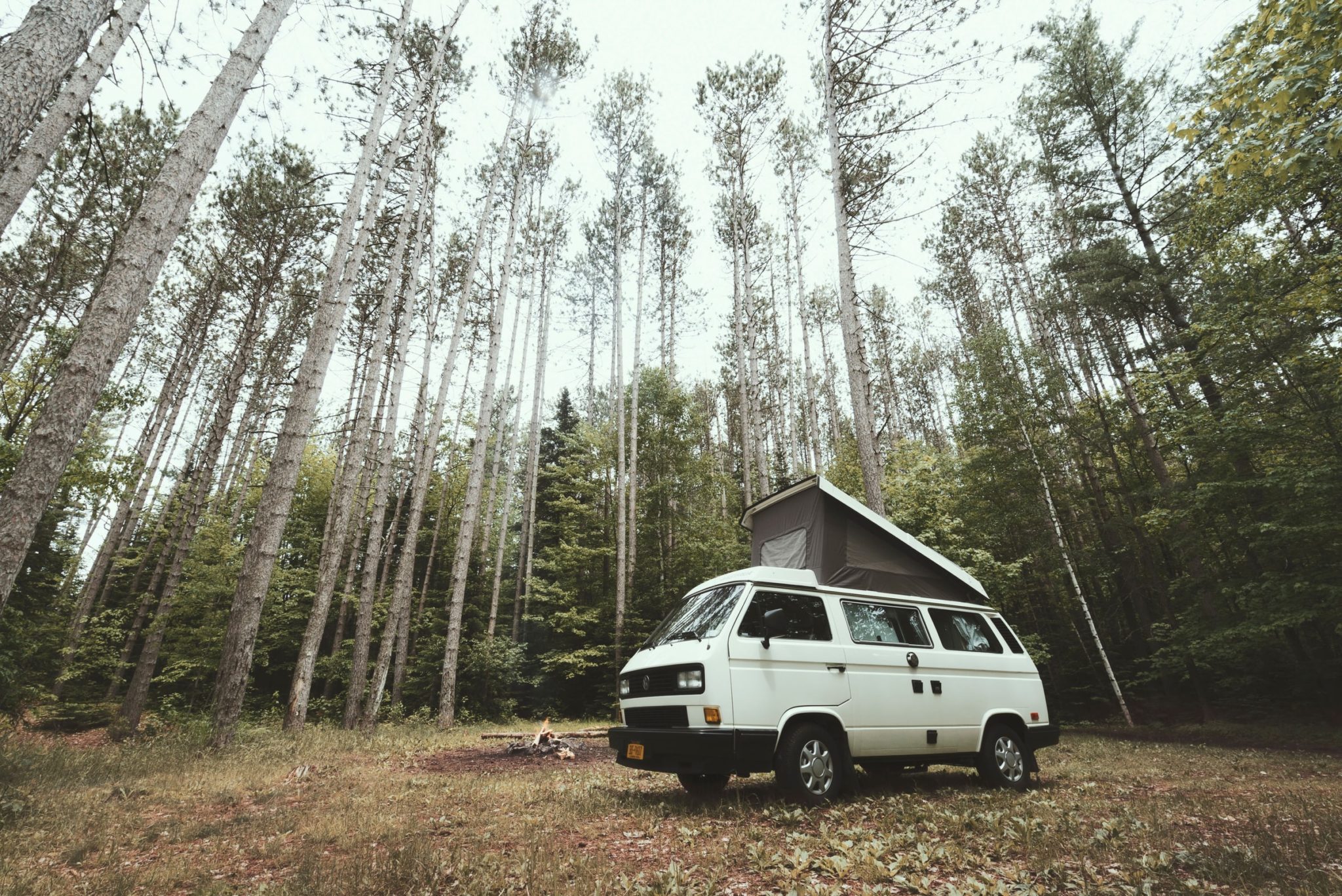 See why these 5 campers are the best vans for van life