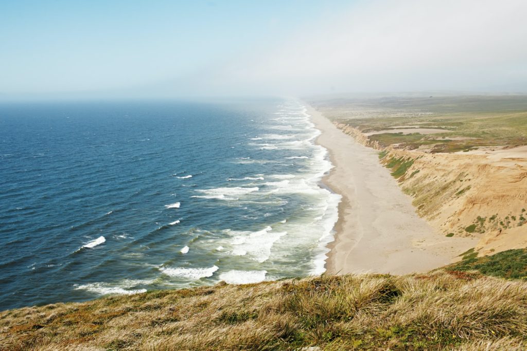 Bodega Bay