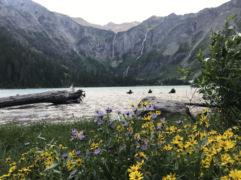Glacier Avalanche Lake (1)