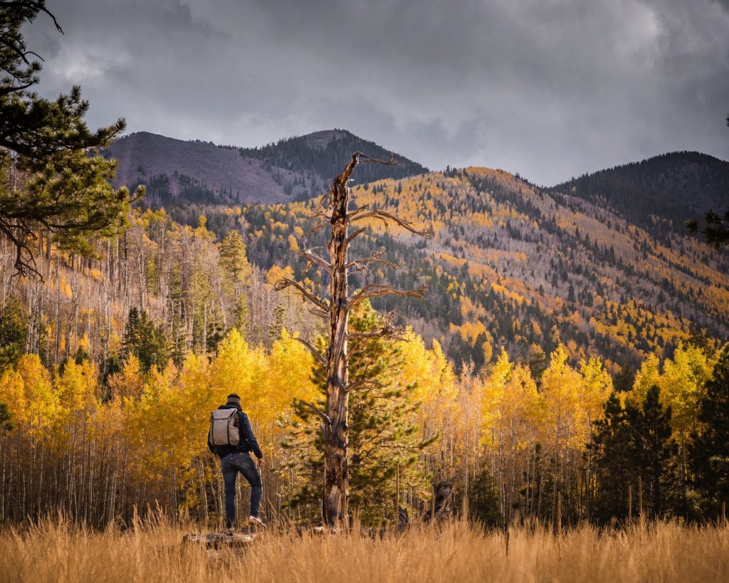 Flagstaff, AZ