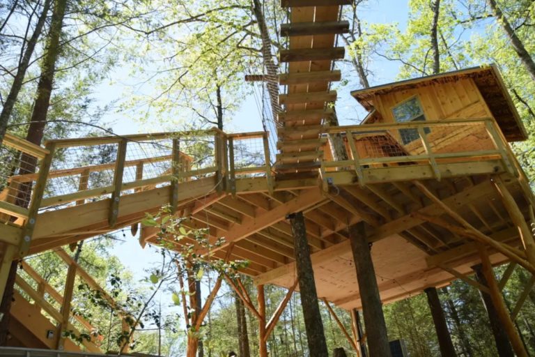 Tree House Rentals in Tennessee 10 Handpicked Options for You