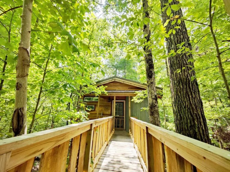 Tree House Rentals in Tennessee 10 Handpicked Options for You