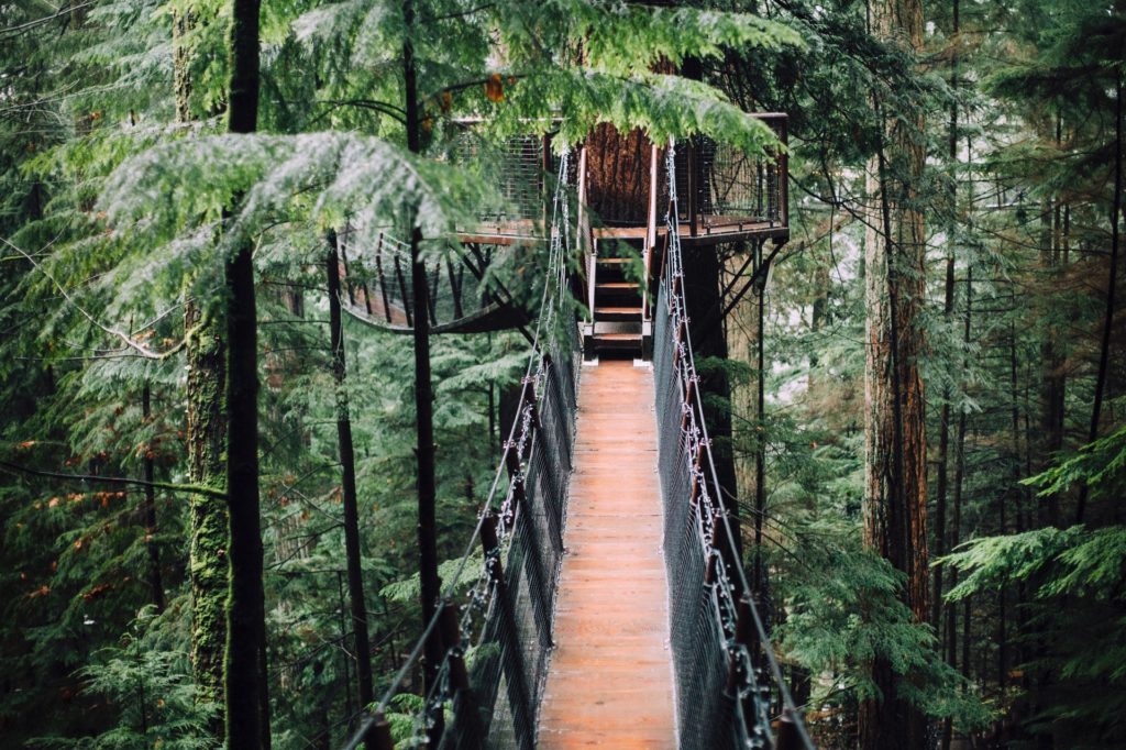 tree house rentals in tennessee