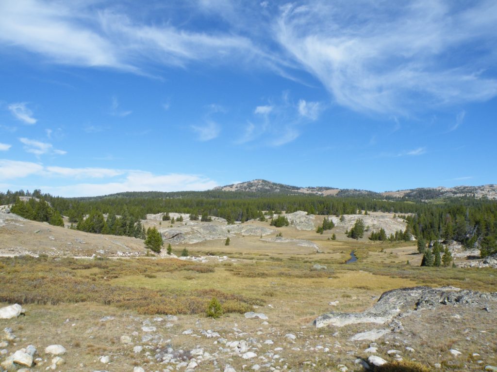 Bighorn National Forest