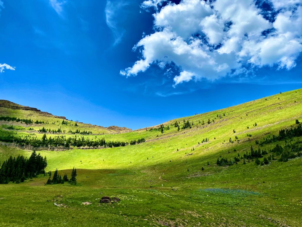 BRIDGER-TETON NATIONAL FOREST