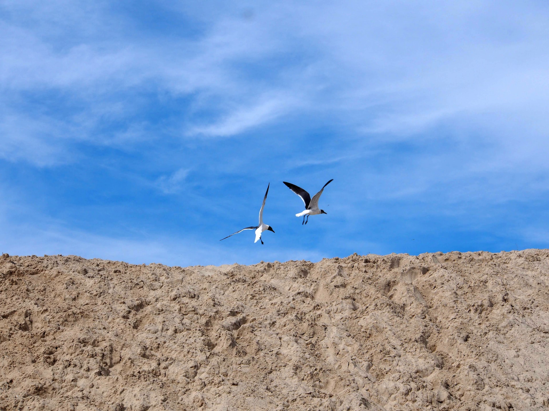 Dauphin Island RV Park Complete Guide In 2022