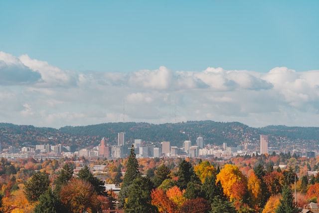 portland fall foliage