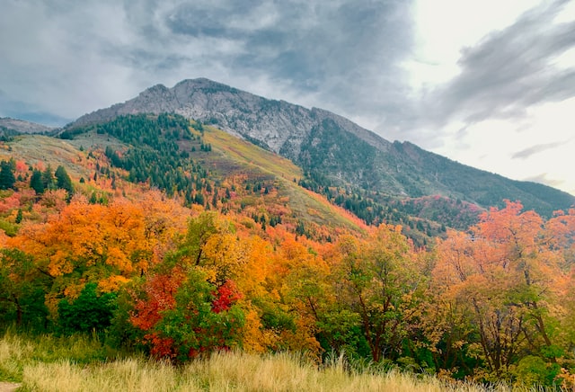 salt lake city fall foliage