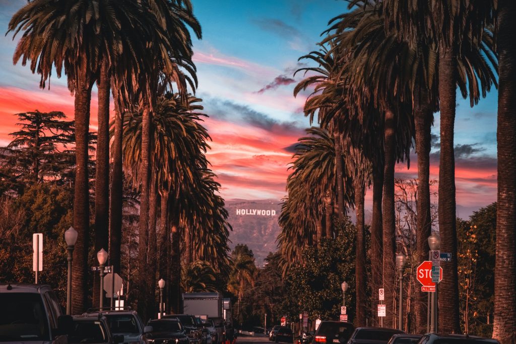 Palm lined street in Los Angeles