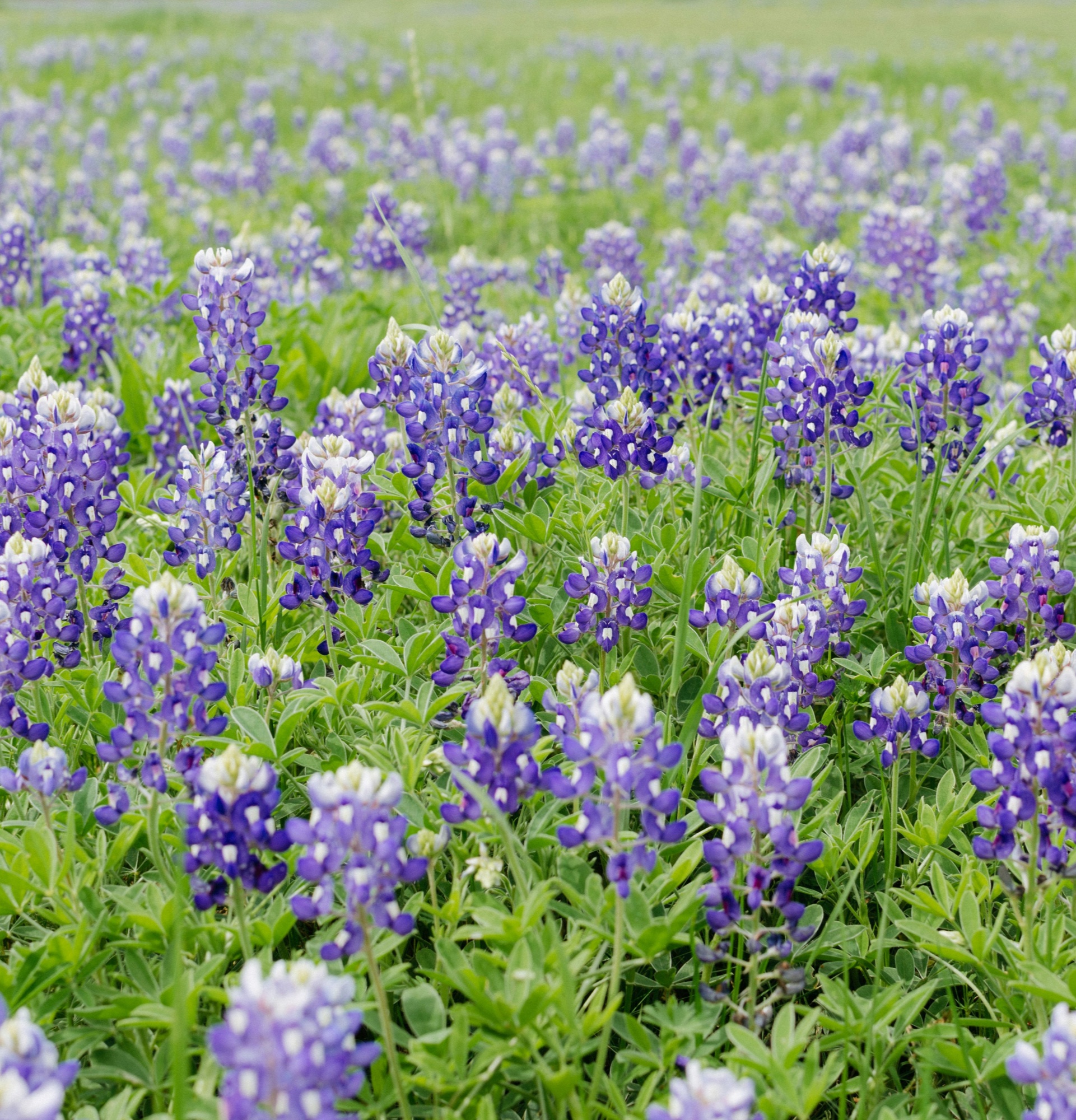 Romantic Getaways In Texas Hill Country