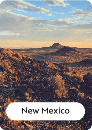 New Mexico