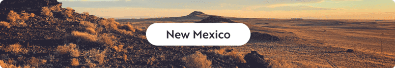 New Mexico