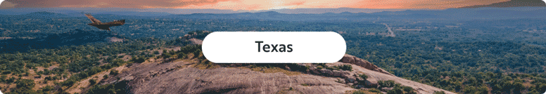 Texas