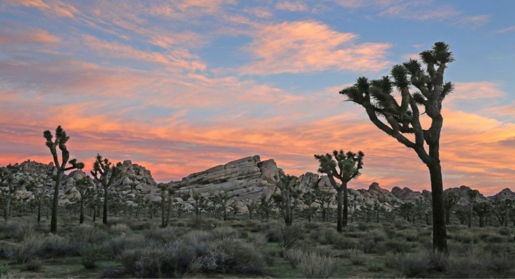 Silhouetted trees and granite boulder formations beneath a vivid pink and orange sunset sky